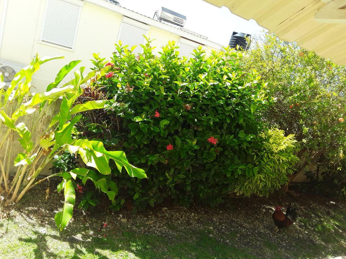 Carib Blue Apartments Oistins エクステリア 写真